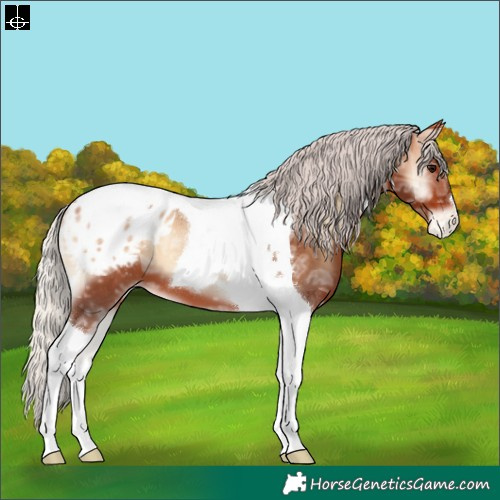 Horse Color:Silver Bay Ice Onyx Tobiano Blanket 