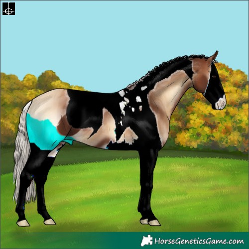 Horse Color:ERROR: UNKNOWN ANOMALY