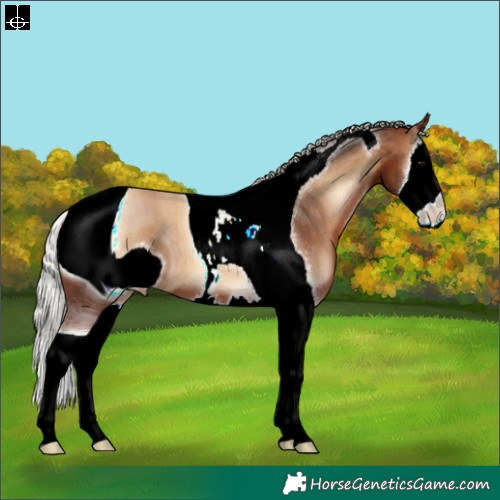 Horse Color:ERROR: UNKNOWN ANOMALY