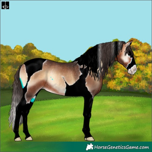 Horse Color:Bay Onyx Splash Tobiano Varnish Rabicano