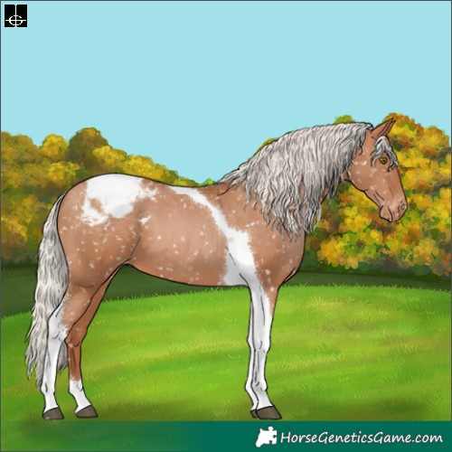 Horse Color:Silver Brown Pearl Tobiano Snowflake Varnish