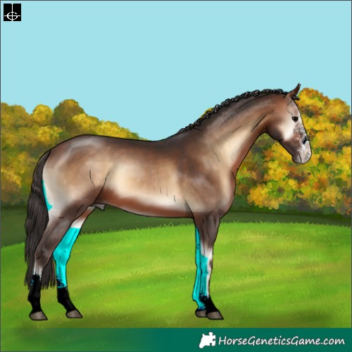 Horse Color:Bay Onyx Sabino 