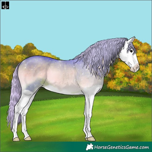 Horse Color:Watercolor Silver Brown Onyx Splash