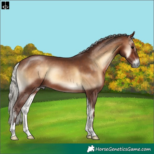 Horse Color:Silver Brown Onyx