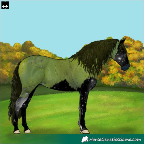Horse Color:ERROR: UNKNOWN ANOMALY