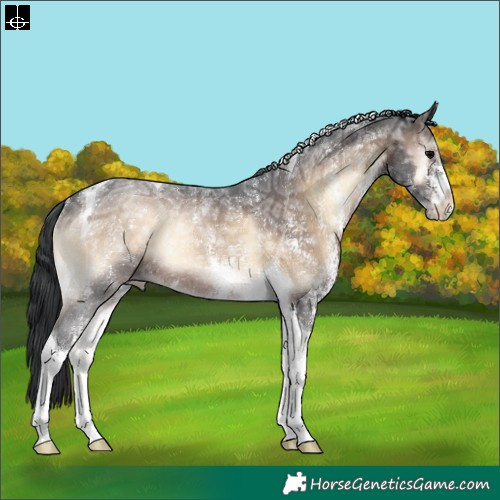 Horse Color:Brown Ice Onyx Sabino Tobiano Rabicano