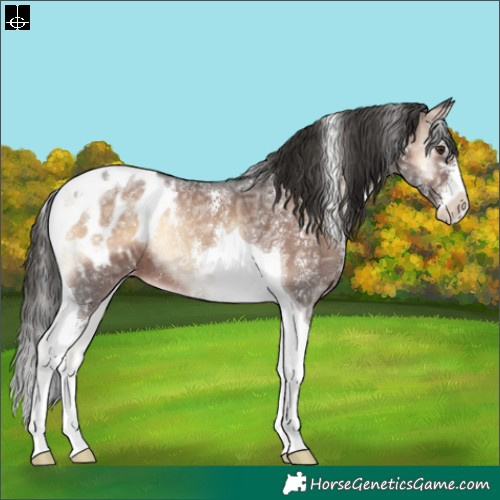 Horse Color:Liver Red Onyx Ice Sabino Tobiano Appaloosa 
