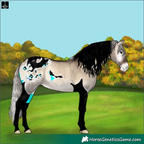 Horse Color:Silver Brown Onyx Tobiano Blanket Rabicano