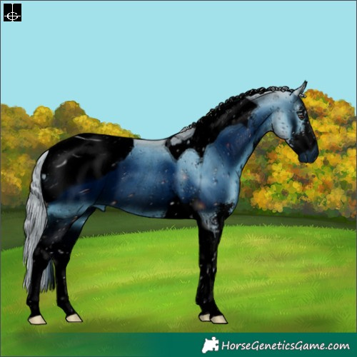 Horse Color:ERROR: UNKNOWN ANOMALY