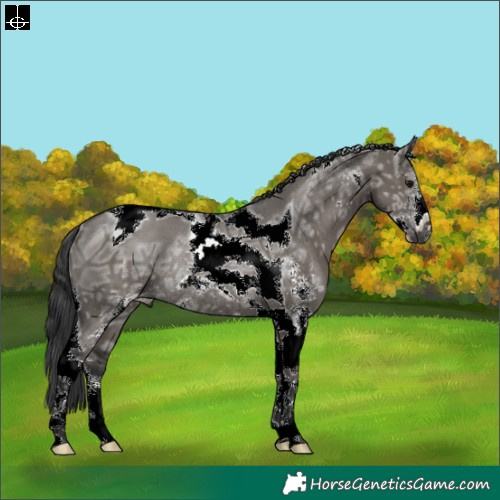 Horse Color:Grullo Ice Sabino Tobiano Rabicano 