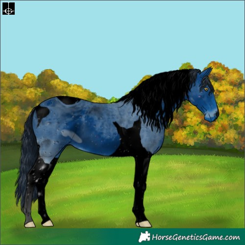 Horse Color:ERROR: UNKNOWN ANOMALY