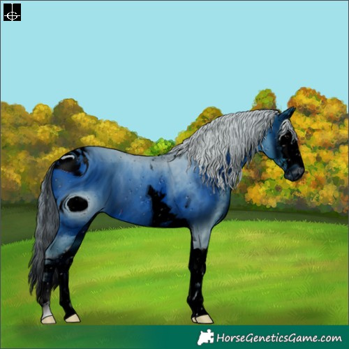 Horse Color:ERROR: UNKNOWN ANOMALY