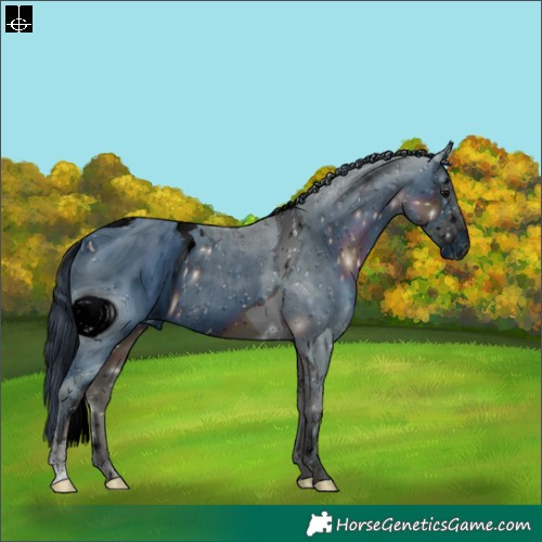 Horse Color:ERROR: UNKNOWN ANOMALY