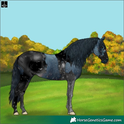 Horse Color:ERROR: UNKNOWN ANOMALY