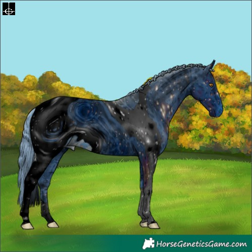 Horse Color:ERROR: UNKNOWN ANOMALY