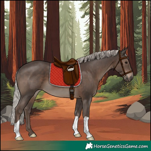 Horse Color:Silver Black 