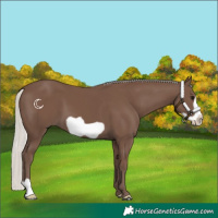 Horse Color:Silver Black Frame
