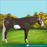 Horse Color:Gray Silver Black Frame 