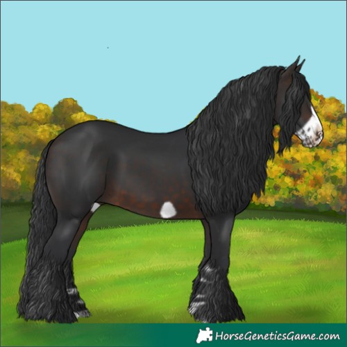 Horse Color:Brown Frame