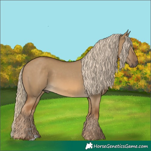 Horse Color:Chocolate Palomino Dun