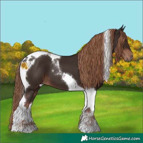 Horse Color:Liver Chestnut Tobiano