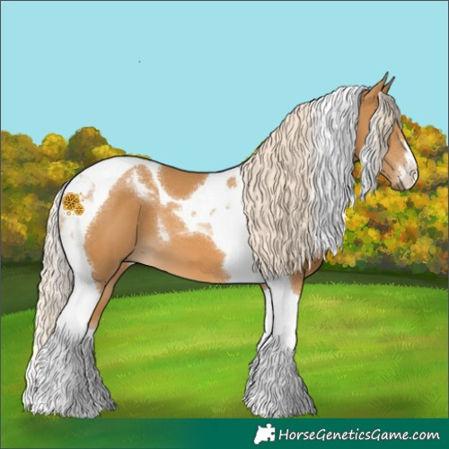 Horse Color:Palomino Tobiano