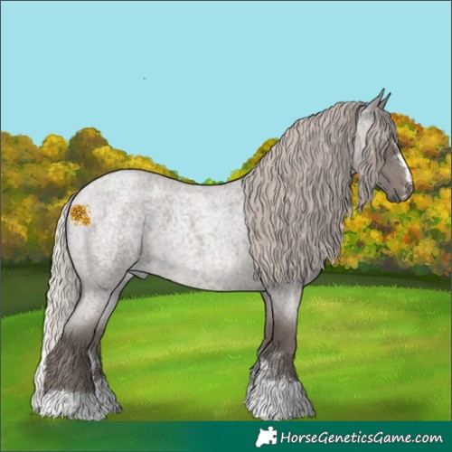 Horse Color:Silver Blue Roan