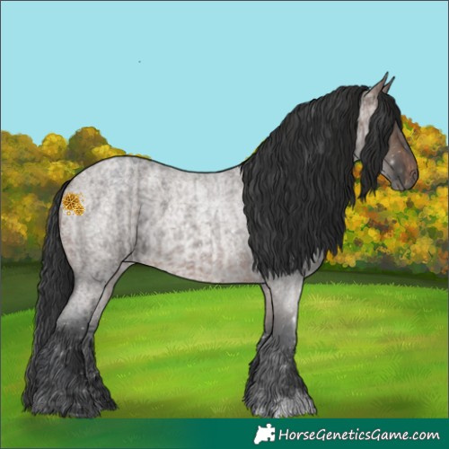 Horse Color:Brown Roan Rabicano  and Brown Roan Dun Rabicano 