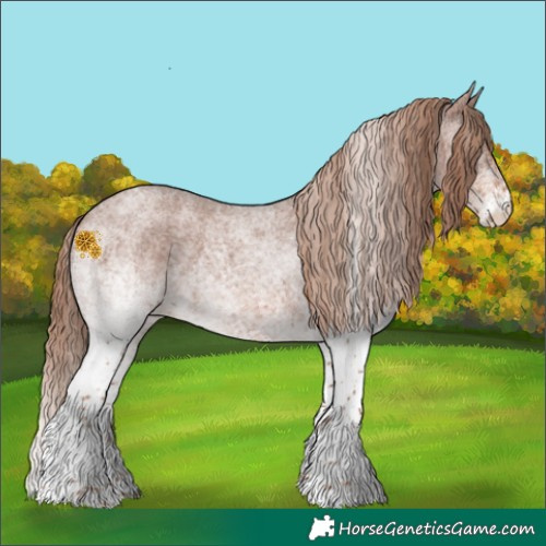 Horse Color:White Spotted Red Roan 