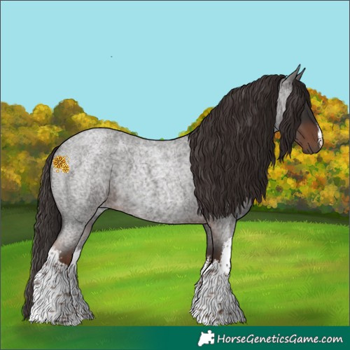 Horse Color:White Spotted Liver Red Roan