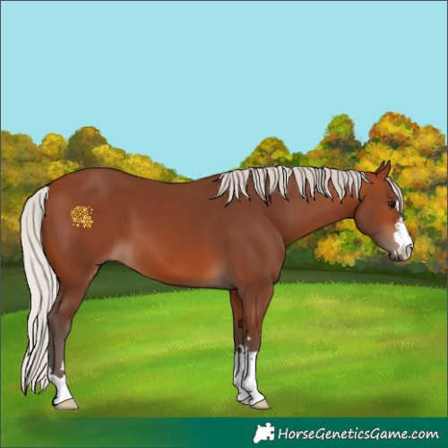 Horse Color:Silver Brown 