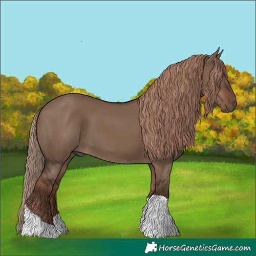Horse Color:Liver Red Dun Tobiano 