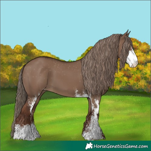 Horse Color:Liver Red Dun Sabino Varnish Rabicano 