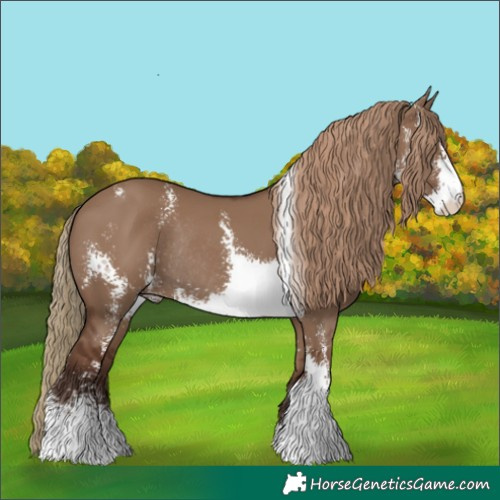 Horse Color:Liver Red Dun Sabino Rabicano 