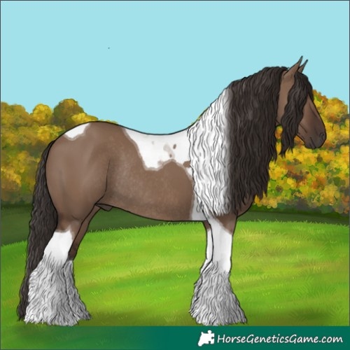 Horse Color:Liver Red Dun Tobiano Rabicano 