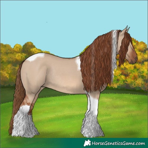 Horse Color:Red Dun Tobiano Rabicano