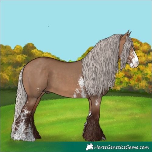 Horse Color:Silver Brown Dun Sabino Rabicano 
