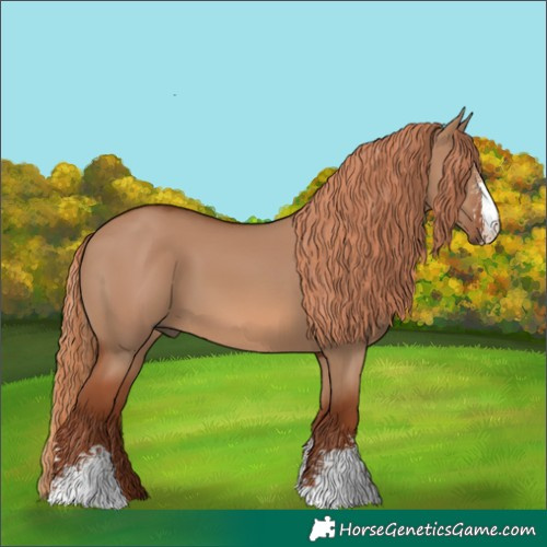 Horse Color:Red Dun Sabino