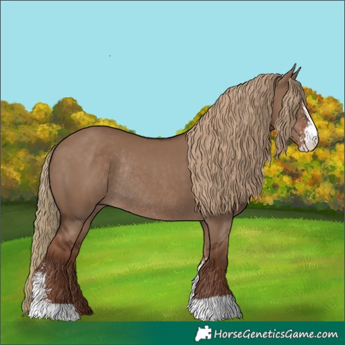 Horse Color:Liver Red Dun Sabino Rabicano