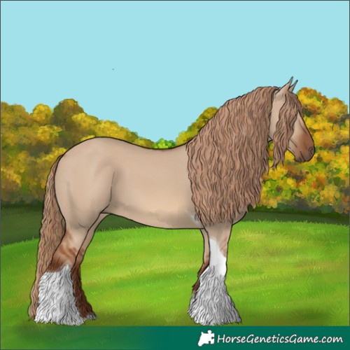 Horse Color:Red Dun Tobiano