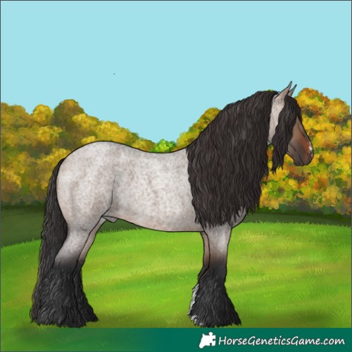 Horse Color:Brown Roan Dun Sabino