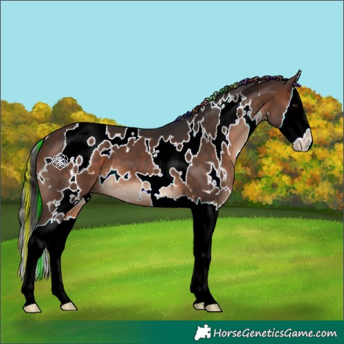 Horse Color:Painted White Spotted Brown Splash 