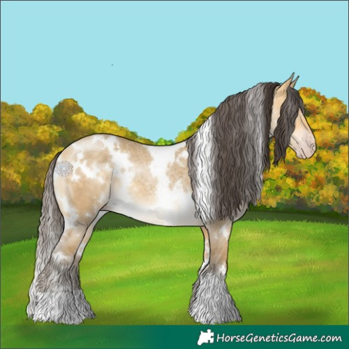 Horse Color:White Spotted Amber Cream Champagne Dun
