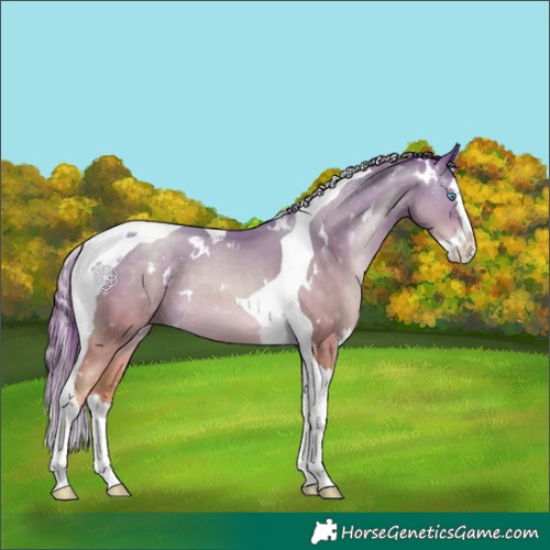 Horse Color:White Spotted Buckskin Pearl Splash Tobiano