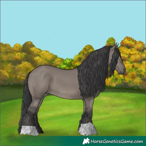 Horse Color:Grullo 
