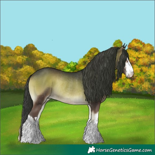 Horse Color:White Spotted Blue Onyx Rabicano 