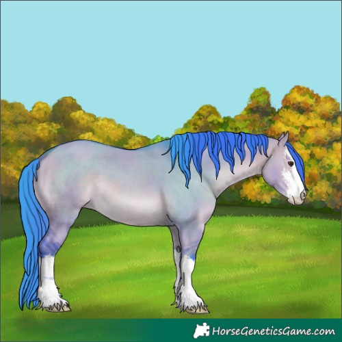 Horse Color:Watercolor White Spotted Bay Dun 