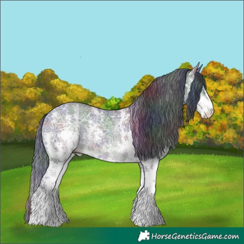 Horse Color:Nacre Black Ice Sabino Rabicano 