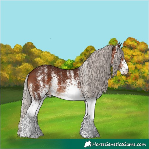 Horse Color:White Spotted Silver Brown 