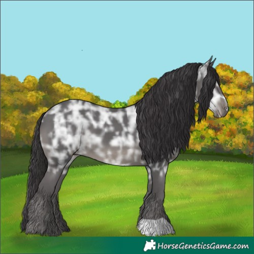 Horse Color:Smoky Black Ice 